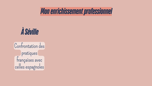 Capsule stages - Bonnotte Manon