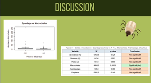 WhatsApp Video 2026-02-25 at 18.38.54.mp4