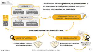 LABELS pré-professionnels en Licence UMPV