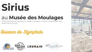 SIRIUS au Musée des Moulages : Les oiseaux du lac Stymphale