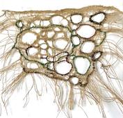 Philosophie de l'éducation - EAD sciences de l'éducation - Antinomie ouverture/fermeture (2/2)