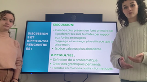 Jeu de données statistique, Maëlle et Louise (1).mp4