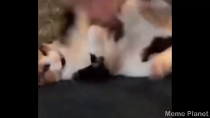 chatpiano.mp4