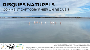[Atelier tutoré de M1 TMR 2024-2025] risques naturels : comment cartographie un risque