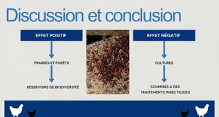 Equipe_GMJT_Bioptipou.mp4