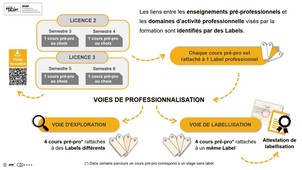 LABELS pré-professionnels en Licence UPVM3 - 2025.mp4