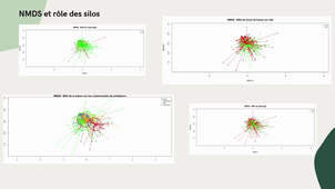 Vidéo Statistique - LPL.mp4