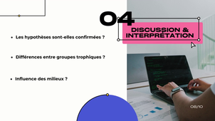 Vidéo Statistiques - Groupe Lolama.mp4