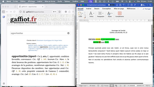 Gaffiot2-phrase 1.mp4