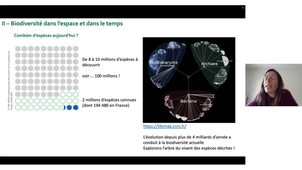 Ecologie générale séance 15/10