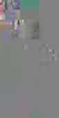 The.Thing.1982.Remastered.Multi(Truefrench).1080P.Hdlight.Hdlight.X264..m4v