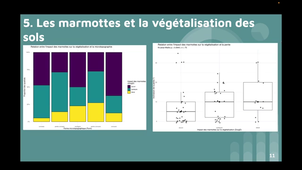 Vidéo Statistiques Aravo, Bes Matteo, Robino Leny.mp4