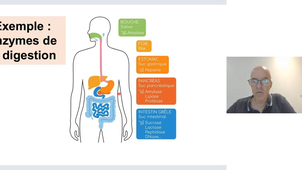 Cours biologie humaine 8 octobre
