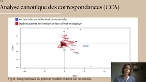 Communautés de bryophyte sur les tourbières printanières des Carpates occidentales-2.mp4