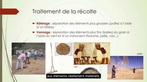 Que révèle l'archéologie sur les différentes pratiques agropastorales?