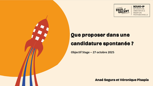 Que proposer dans vos candidatures spontanées ?